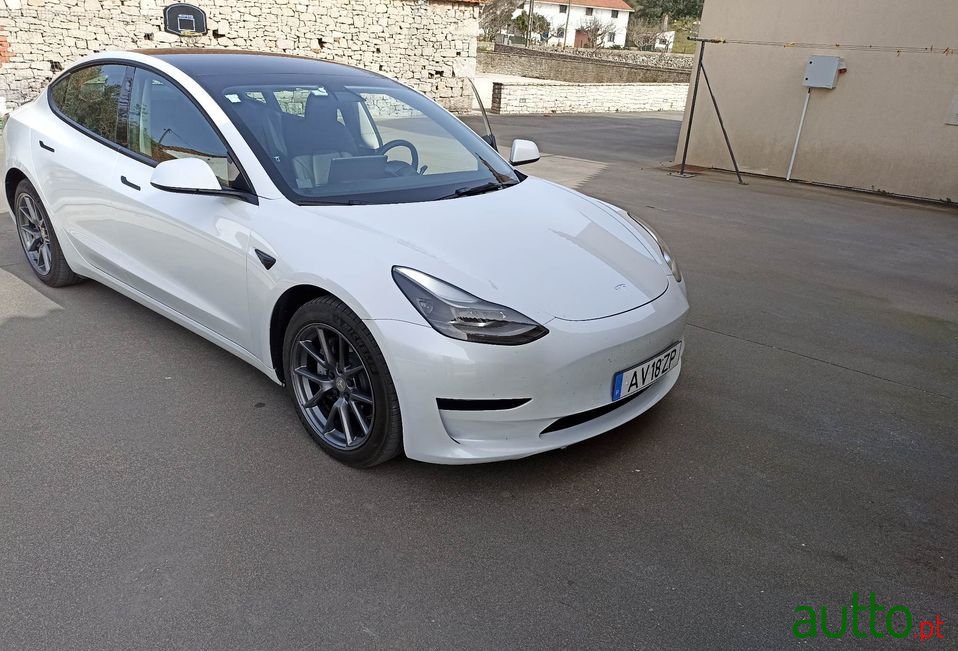 2021' Tesla Model 3 photo #1