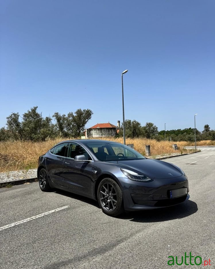 2019' Tesla Model 3 photo #1