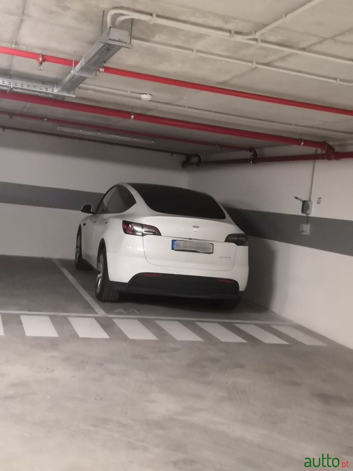 2023' Tesla Model Y photo #6