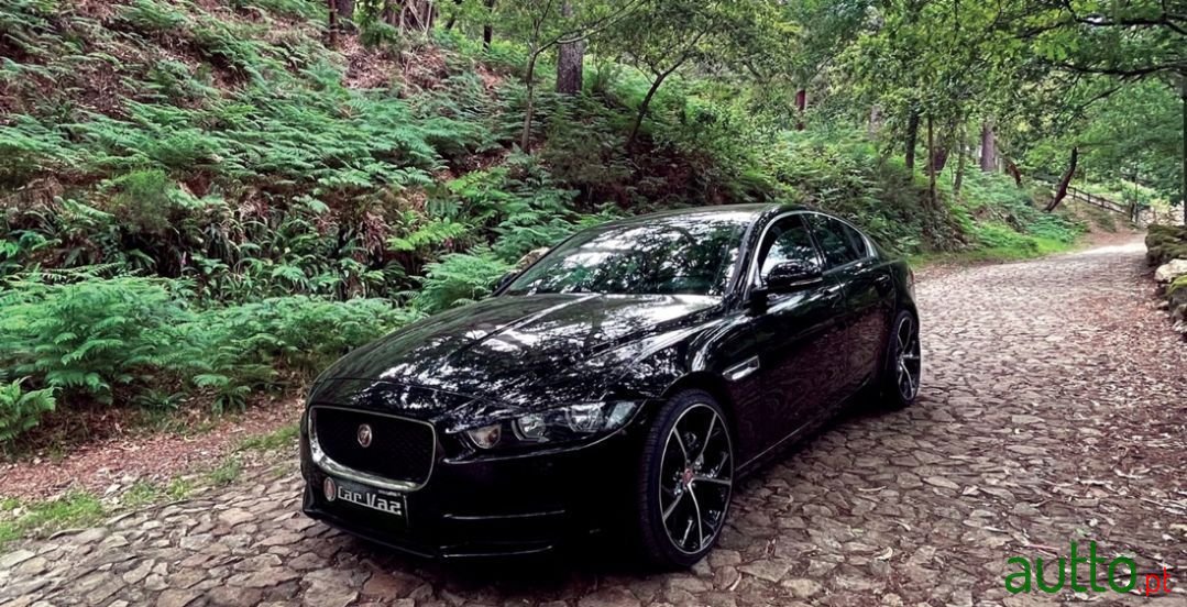 2015' Jaguar Xe photo #1