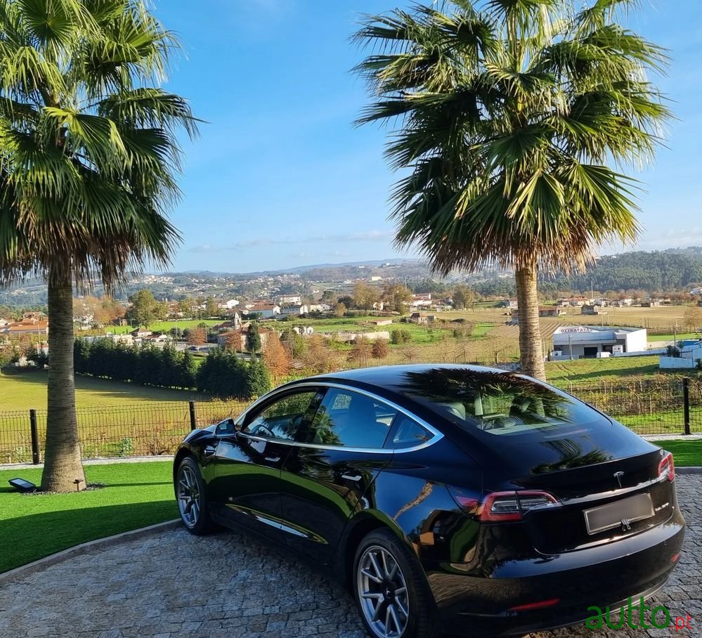 2019' Tesla Model 3 photo #5