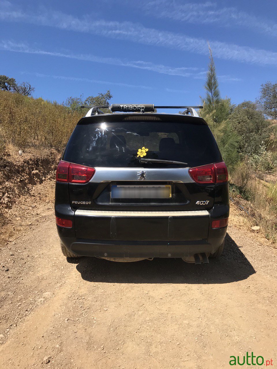 2009' Peugeot 4007 photo #2