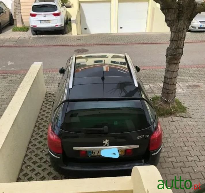 2005' Peugeot 407 Sw photo #5