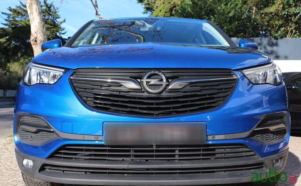 2019' Opel Grandland X photo #5