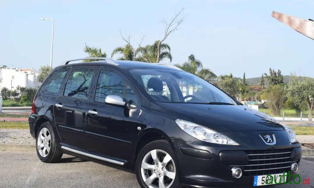2007' Peugeot 307 Sw photo #1