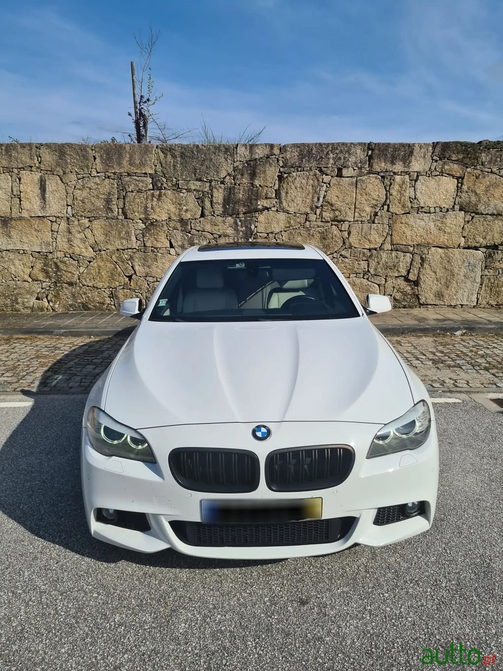 2011' BMW 535 photo #1