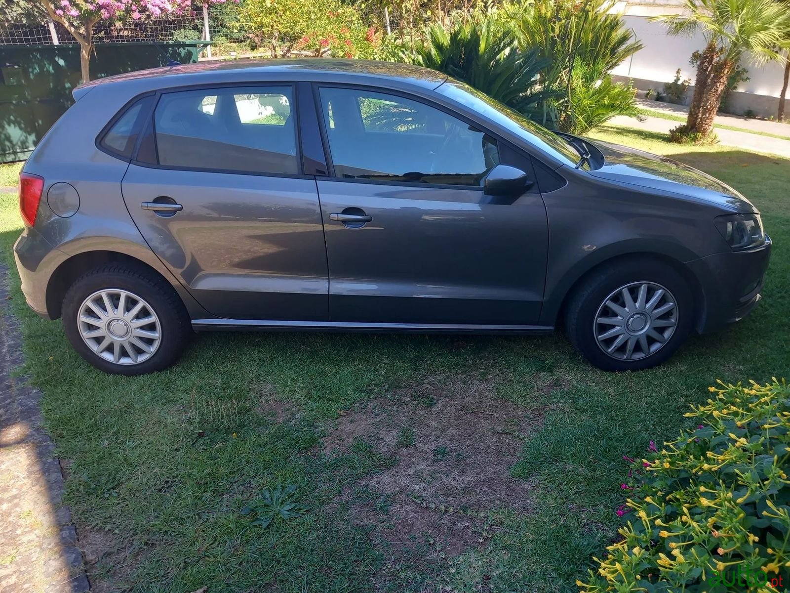 2015' Volkswagen Polo photo #2