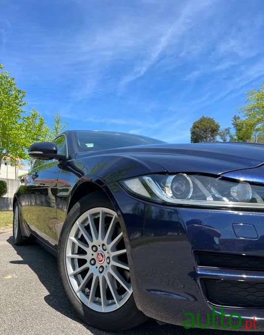 2017' Jaguar XE photo #4