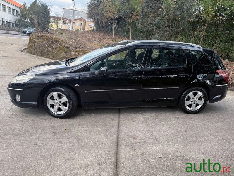 2009' Peugeot 407 Sw photo #2