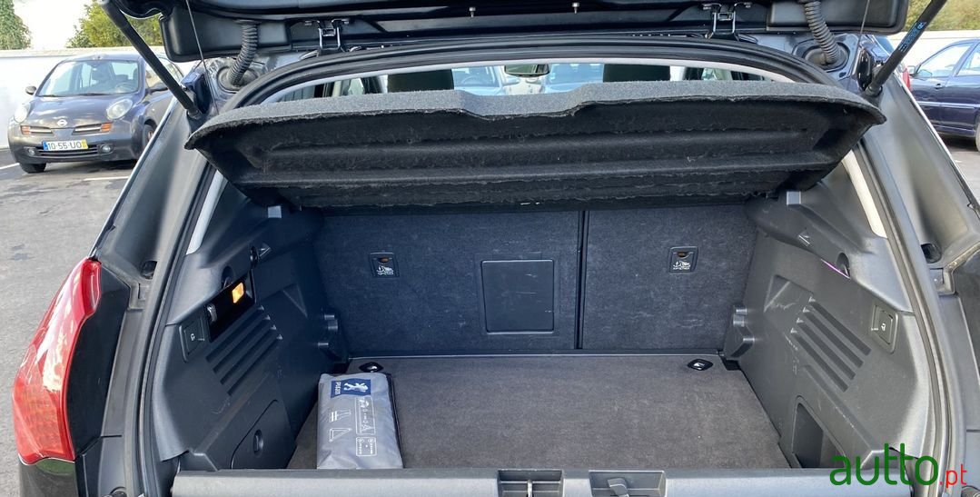 2009' Peugeot 3008 Sport photo #4