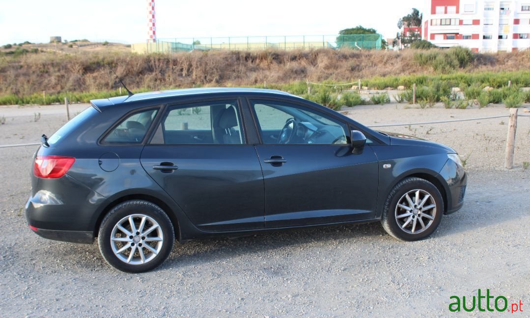 2010' SEAT Ibiza photo #3