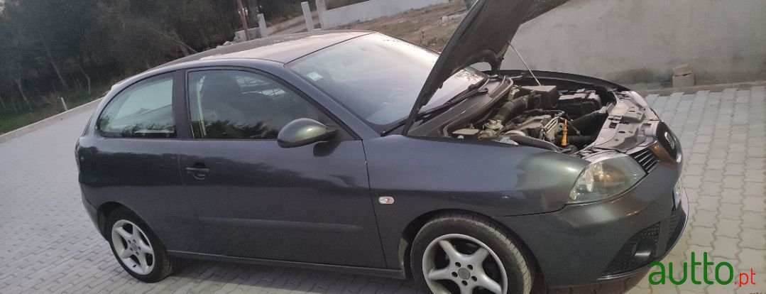 2007' SEAT Ibiza photo #4