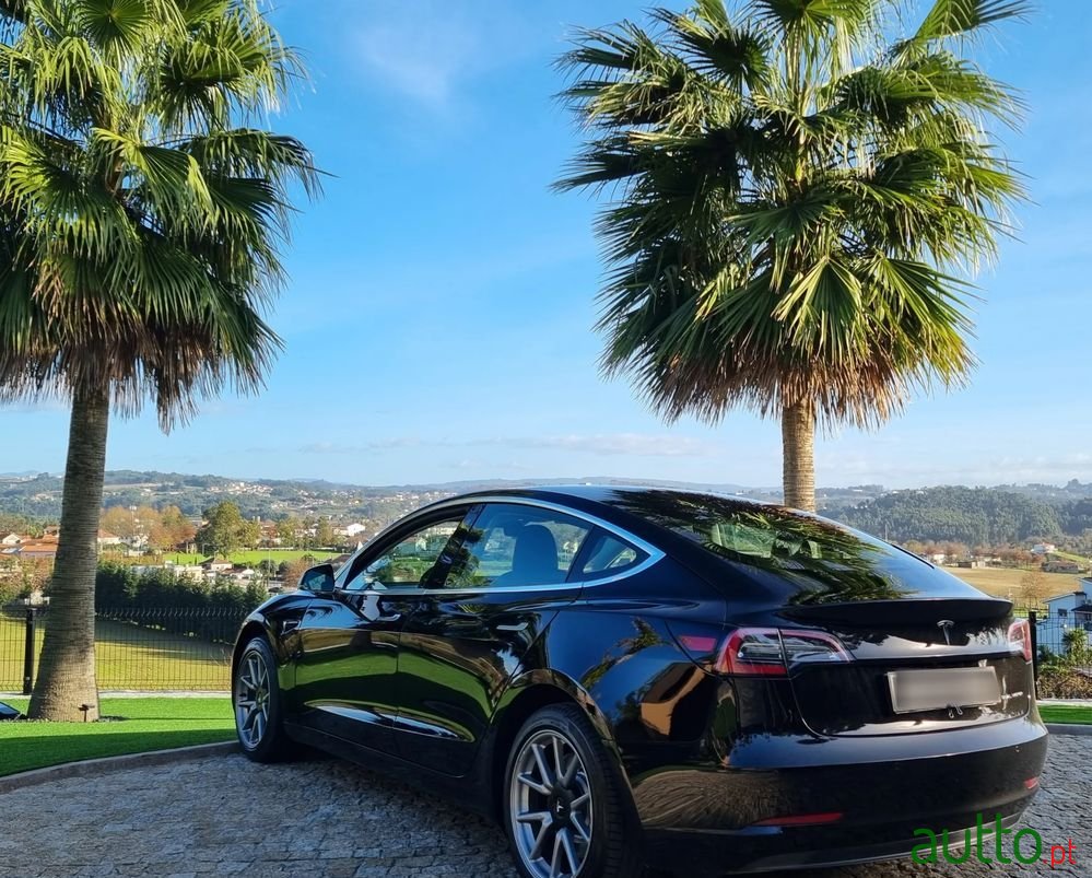 2019' Tesla Model 3 photo #4