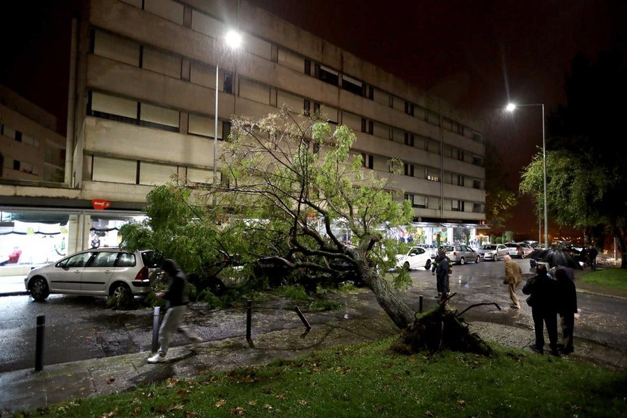 Queda de árvore atinge quatro carros em Braga